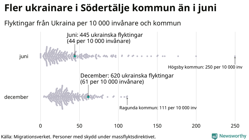 Graf: Antal personer med skydd under massflyktsdirektivet i Migrationsverkets system per kommun